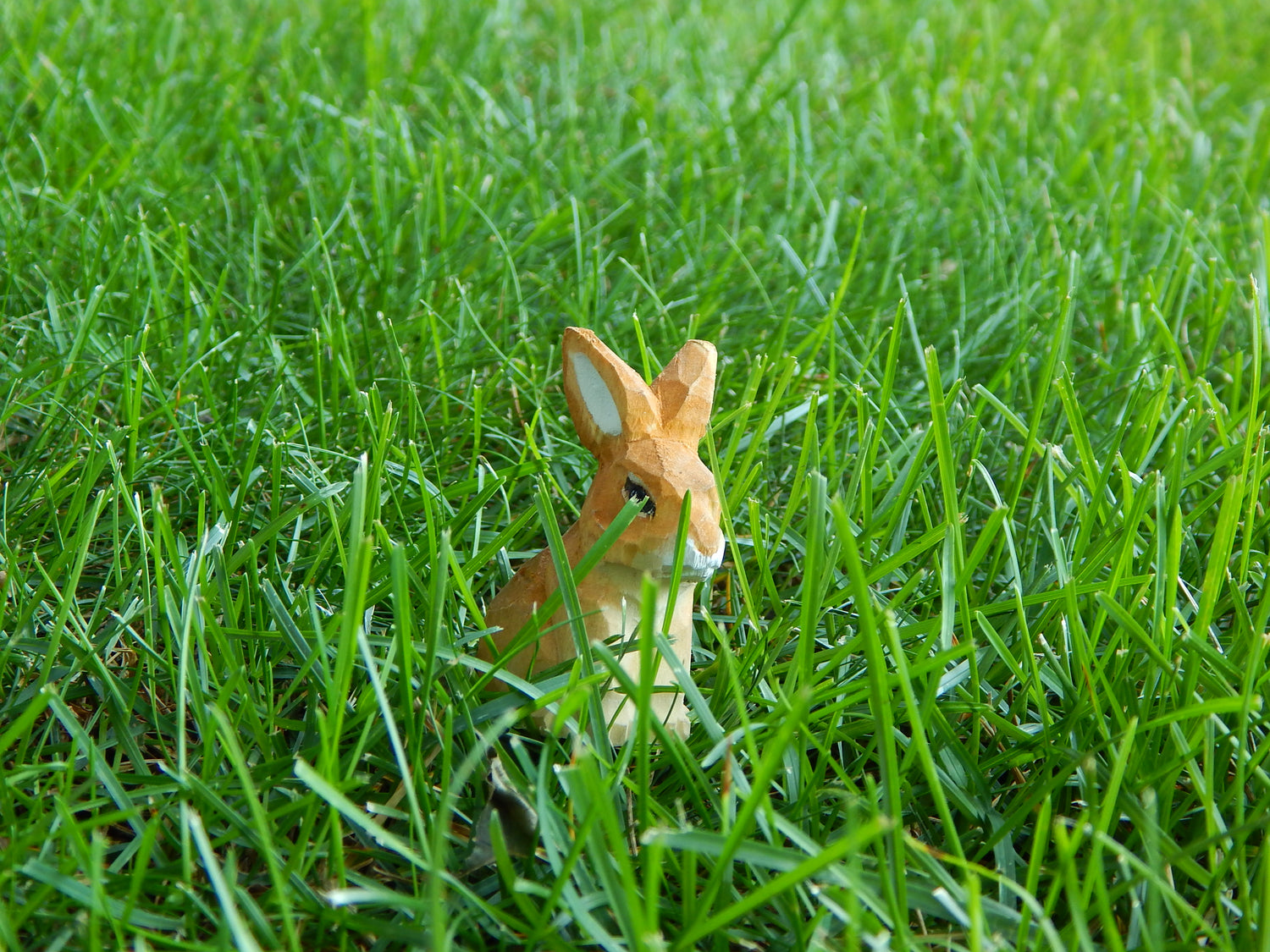 Sustainable Wooden Decorative Pieces